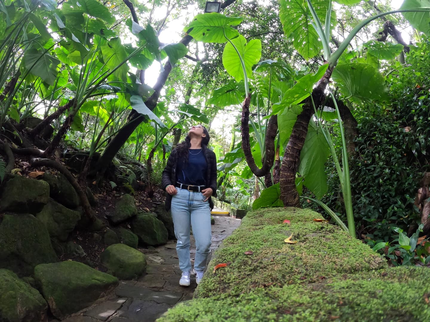 Jardín Botánico y Mercado de Paloquemao con degustación de frutas desde Bogotá