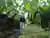Jardín Botánico y Mercado de Paloquemao con degustación de frutas desde Bogotá
