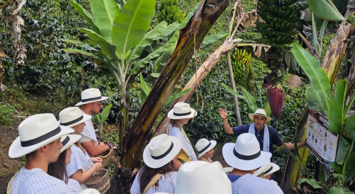 Tour Privado Vale do Cocora Fazenda de Café e Filandia