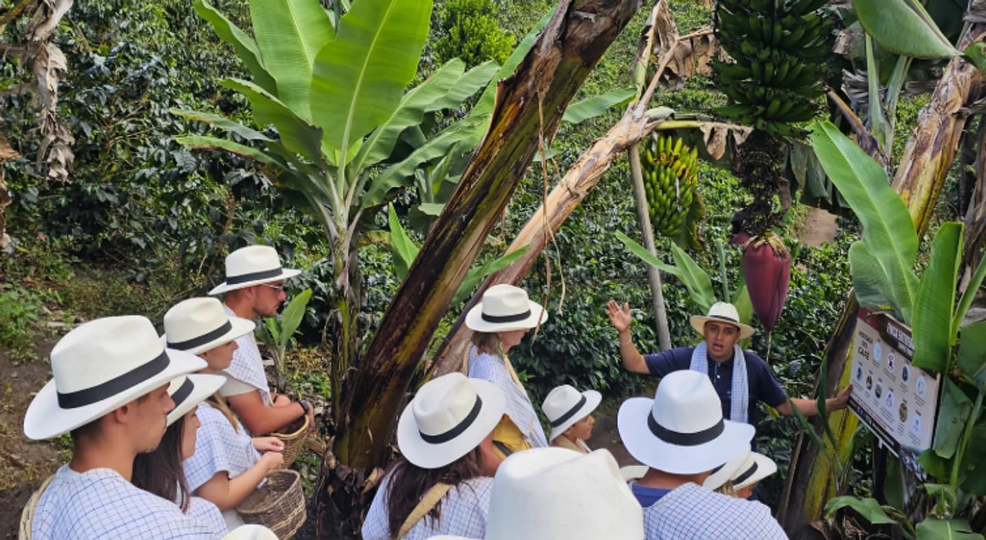 Tour Privado Valle de Cocora Finca Cafetera y Filandia desde Pereira o Salento