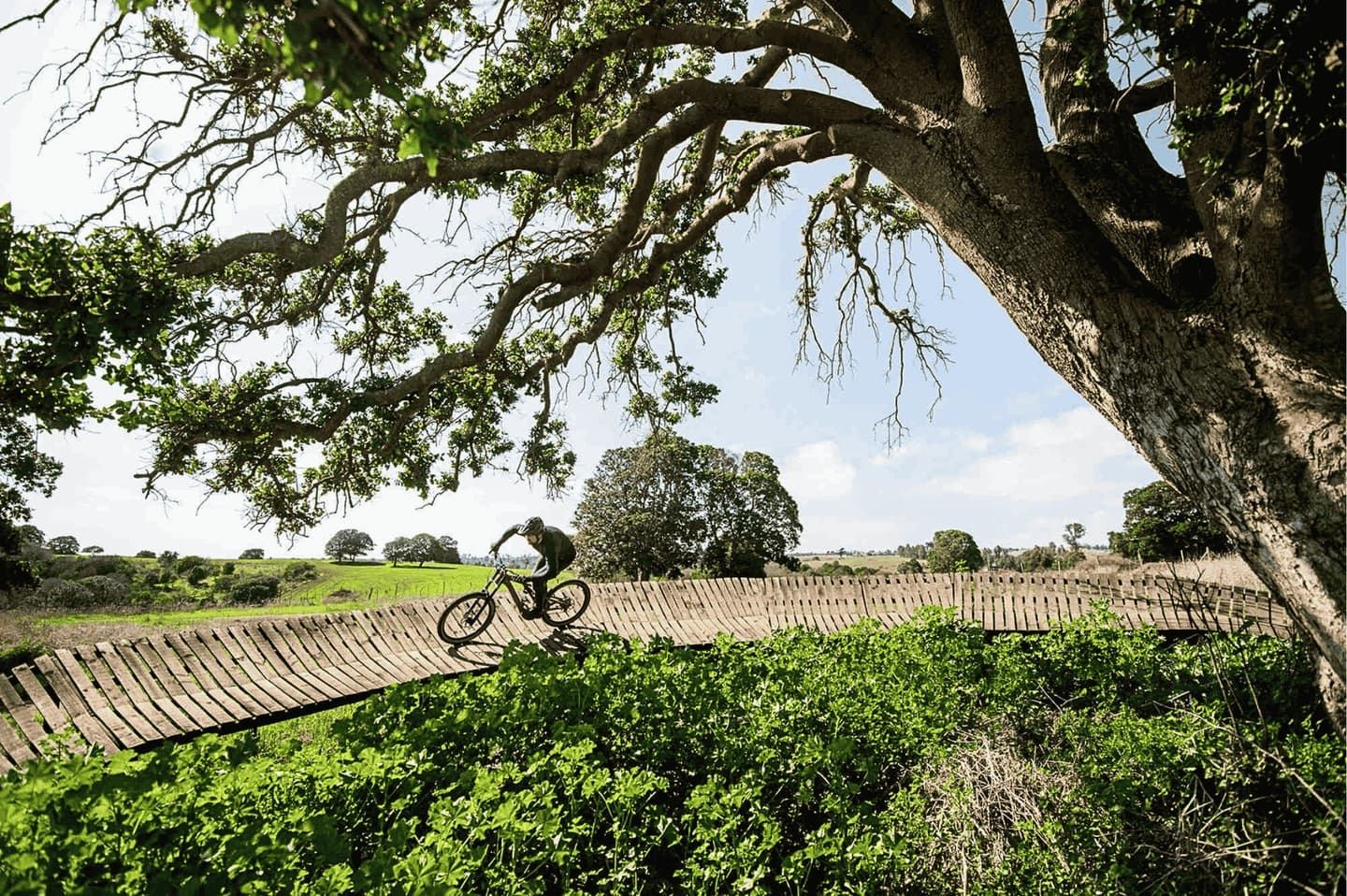 Acceso al Circuito MTB de Parque Tricao
