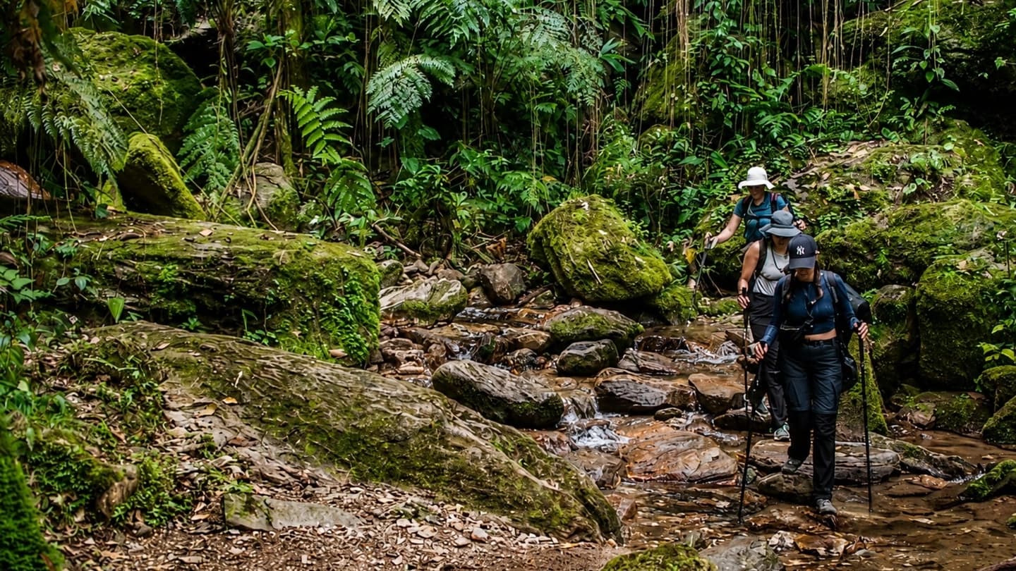 Trekking a Ciudad Perdida de 4 días desde Santa Marta