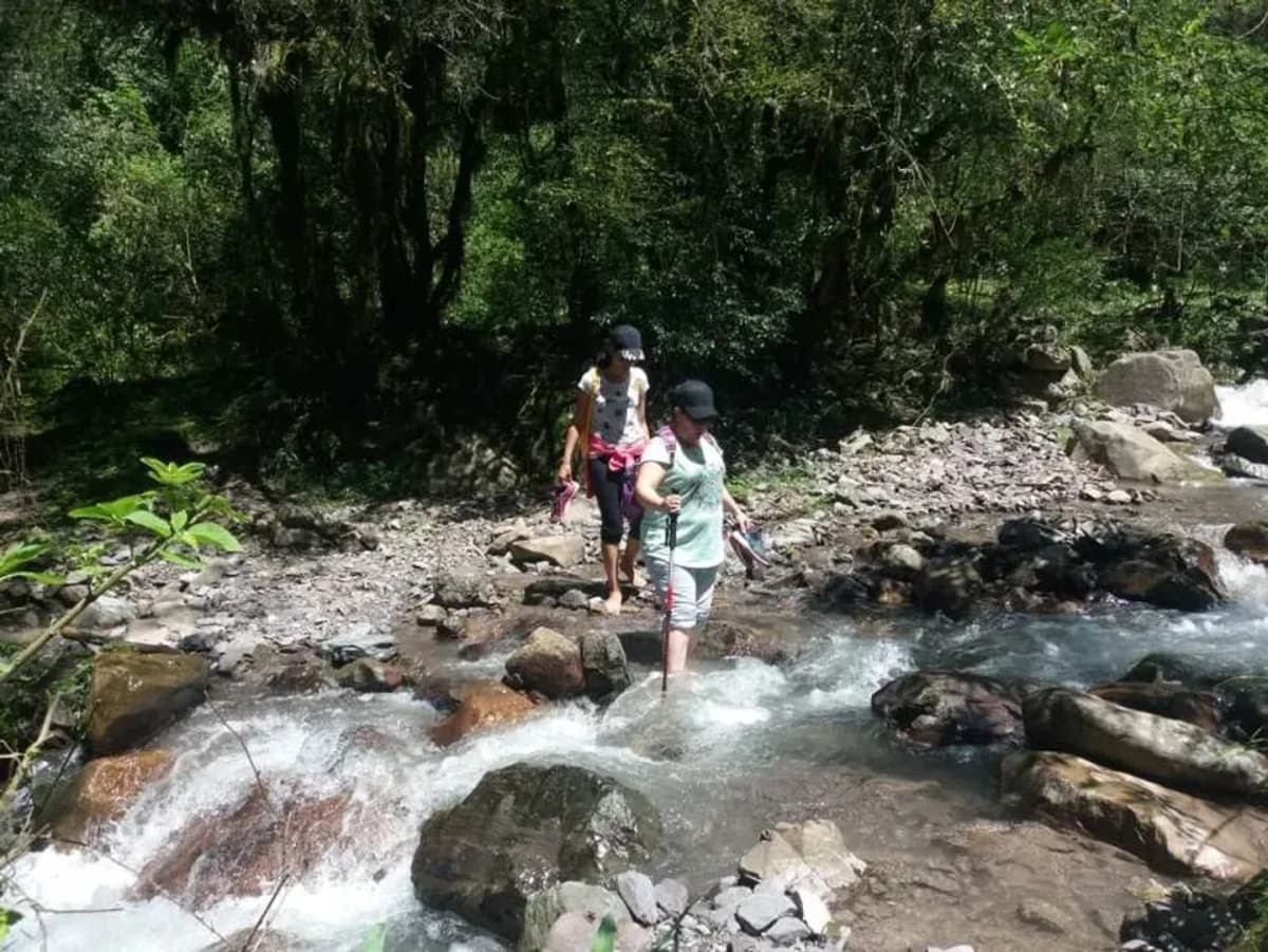 Trekking Corto en las Yungas Salteñas