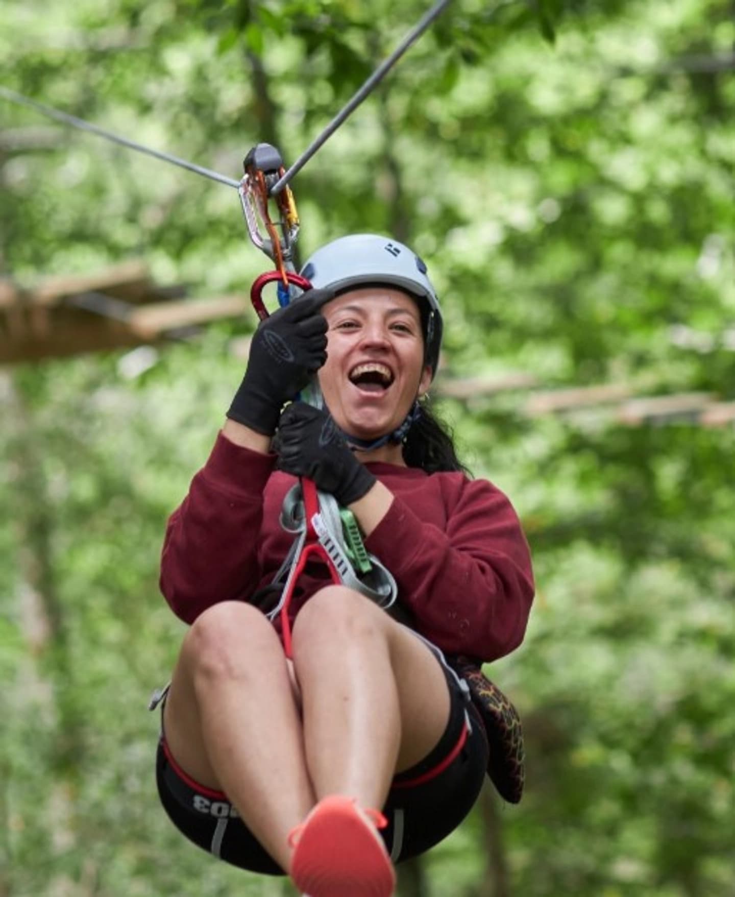 Canopy Parque Neltume con Tirolesas en Salto Huilo Huilo