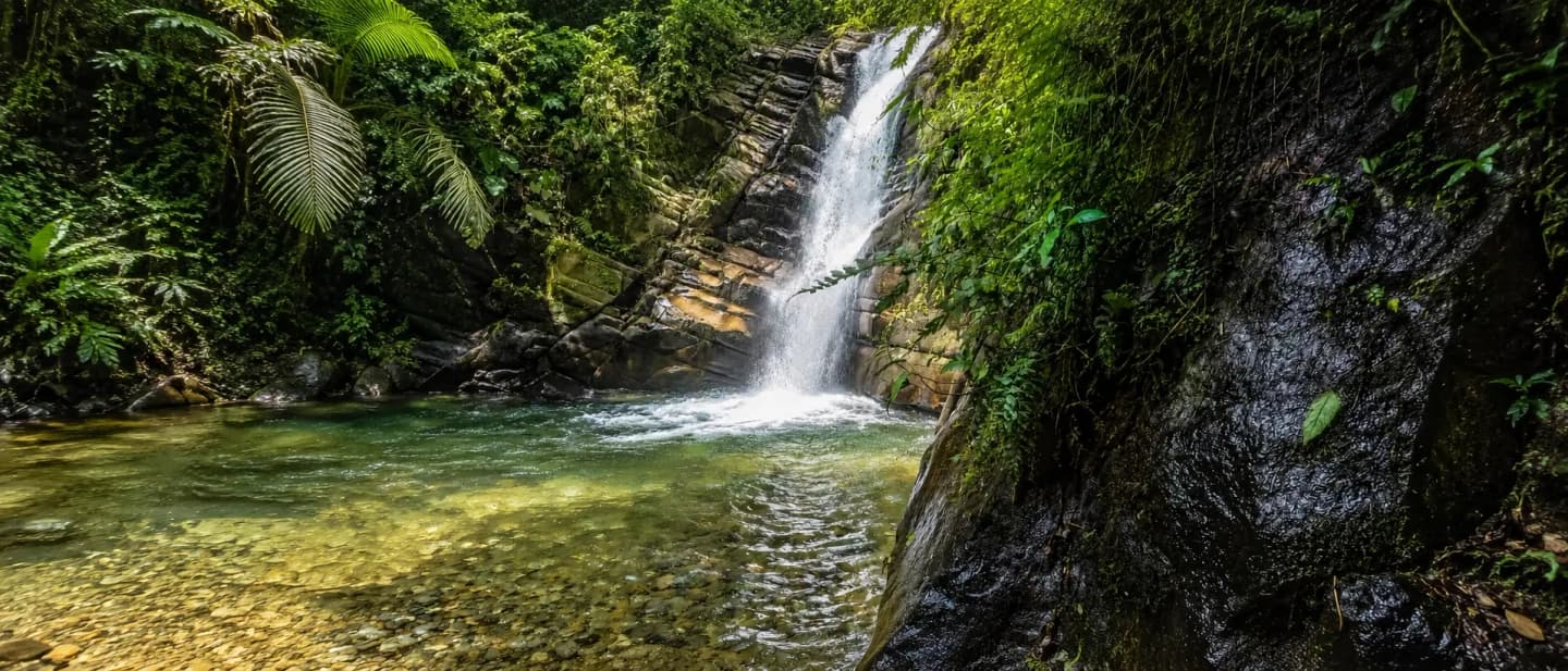 Hiking a cascadas y piscinas naturales desde Salento