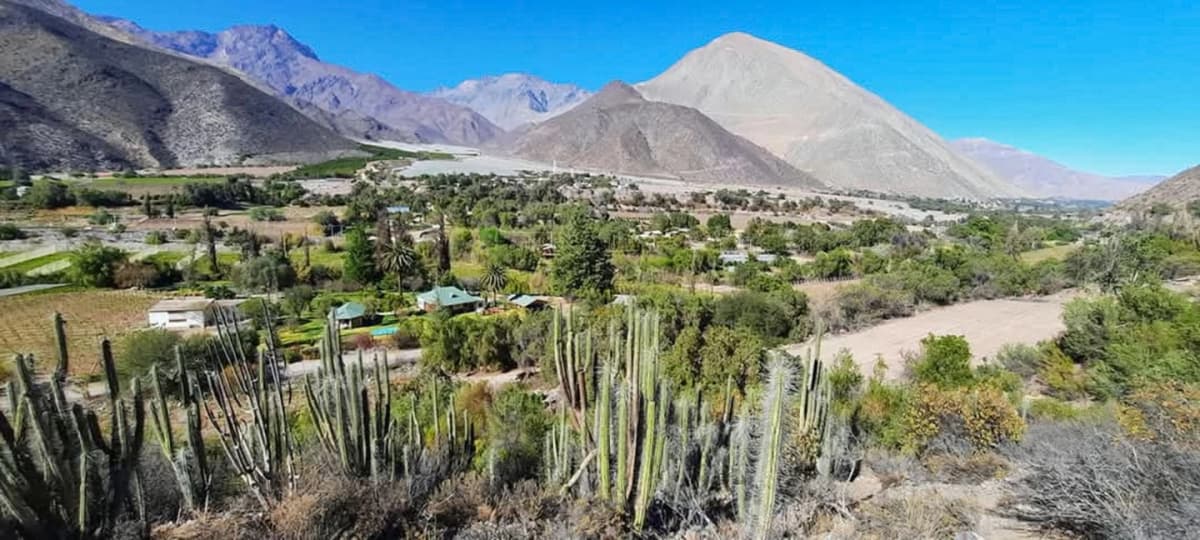 Ruta de los Patrimonios Bioculturales de la Comuna de Vicuña