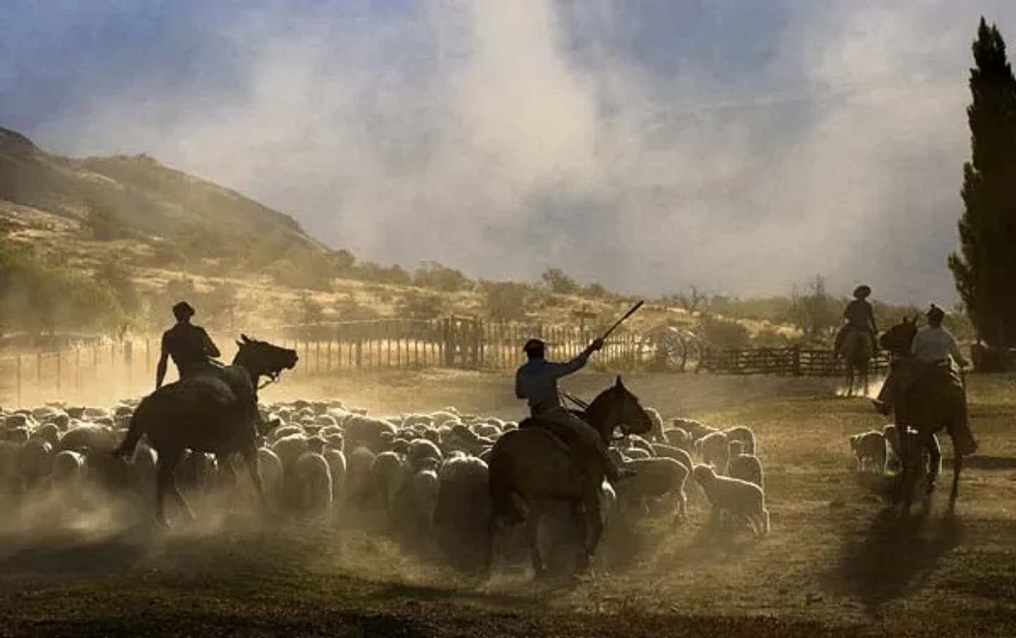 Cabalgata y Día de Campo en Estancia Nibepo Aike