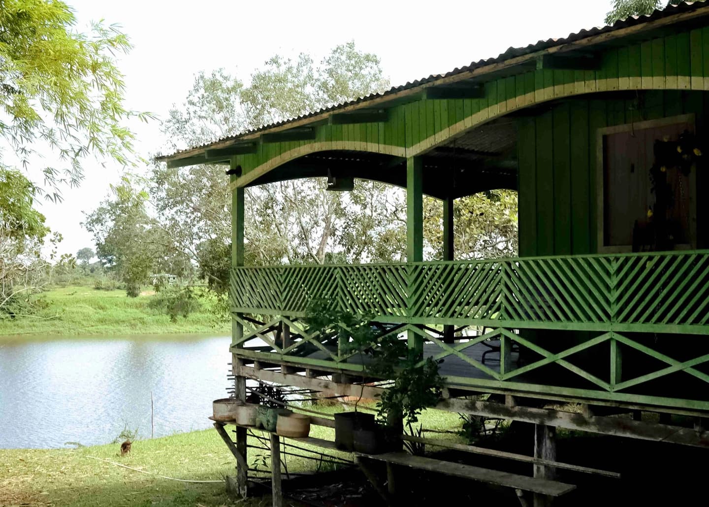 3-Day Amazon Jungle Tour with Accommodation at Juma Lake from Manaus