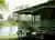 3-Day Amazon Jungle Tour with Accommodation at Juma Lake from Manaus