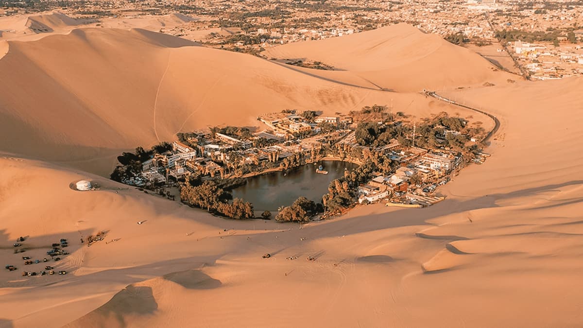 Tour Islas Ballestas, Ica y Huacachina desde Lima
