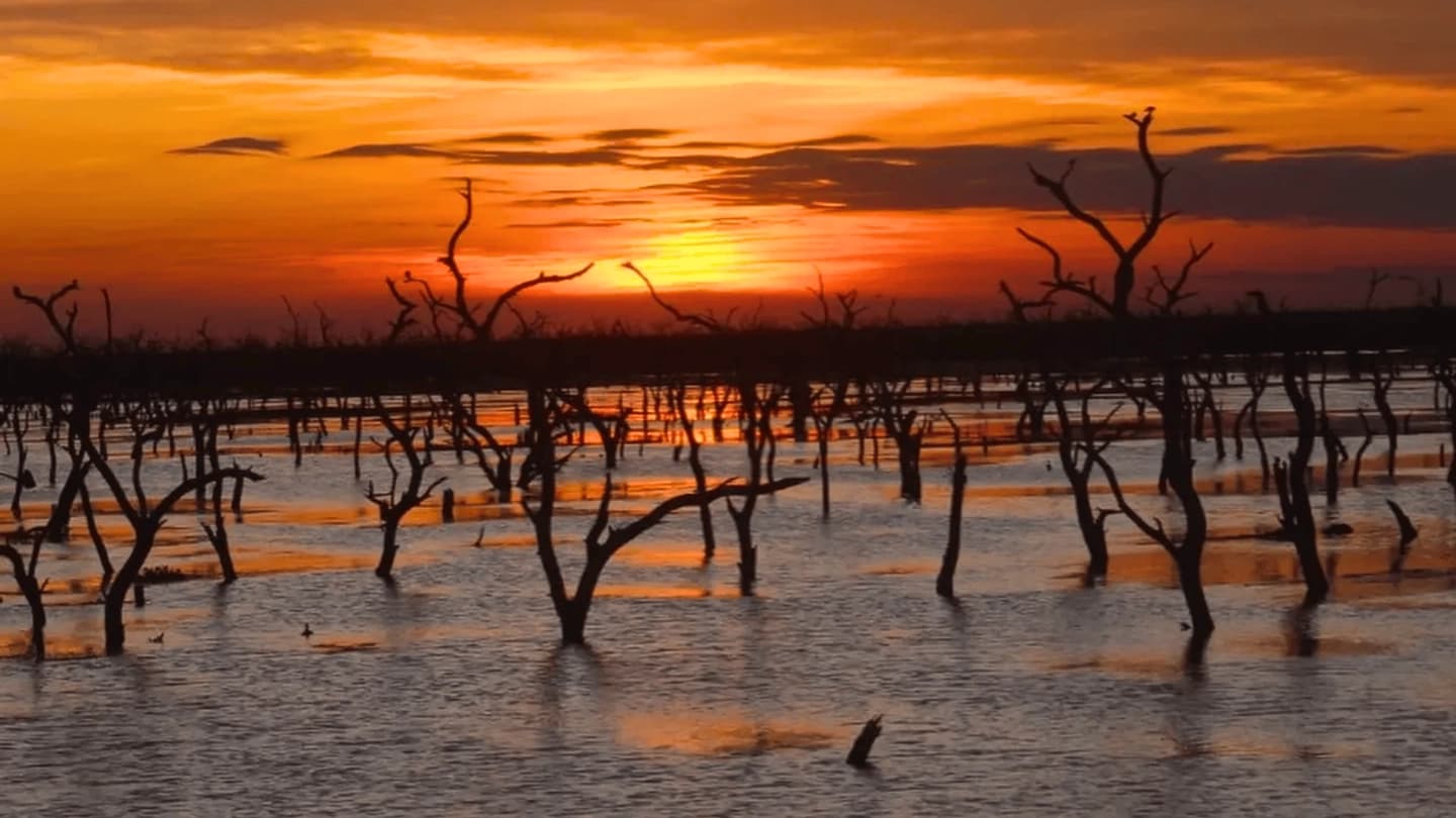Excursión a Bañado la Estrella y Vertedero