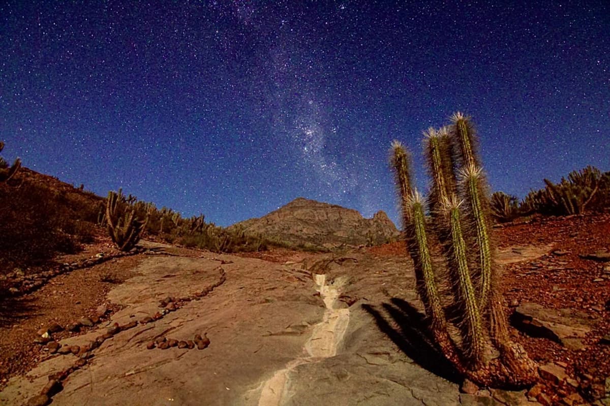 Tour al Valle de Estrellas desde Ovalle