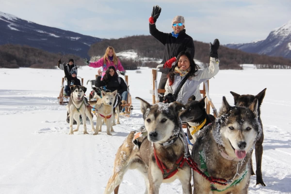 Trineos perros Husky, Moto de nieve y Cena en Nunatak en Ushuaia