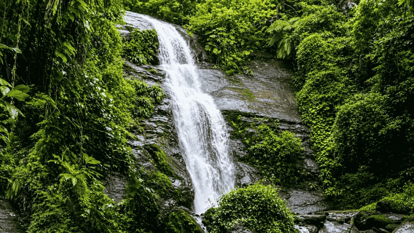 Sendero del Circuito Acuático en Angra dos Reis