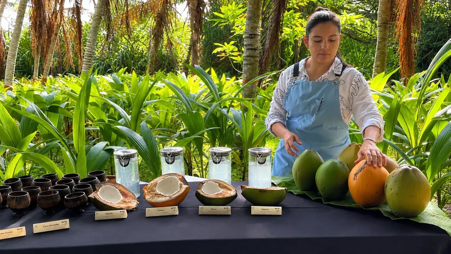 Cata sensorial de coco con brunch caribeño desde Barranquilla
