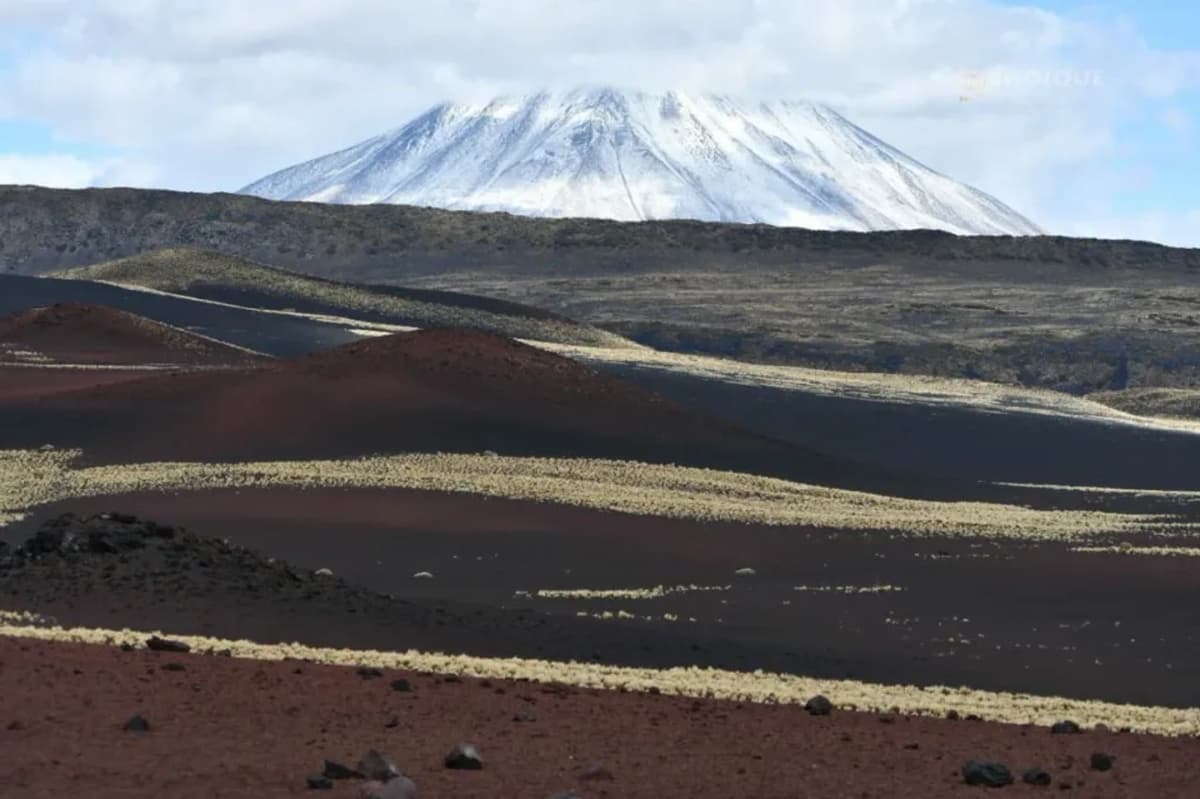 Excursión a la Reserva Natural La Payunia
