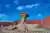Excursión al Parque Ischigualasto "Valle de la luna"