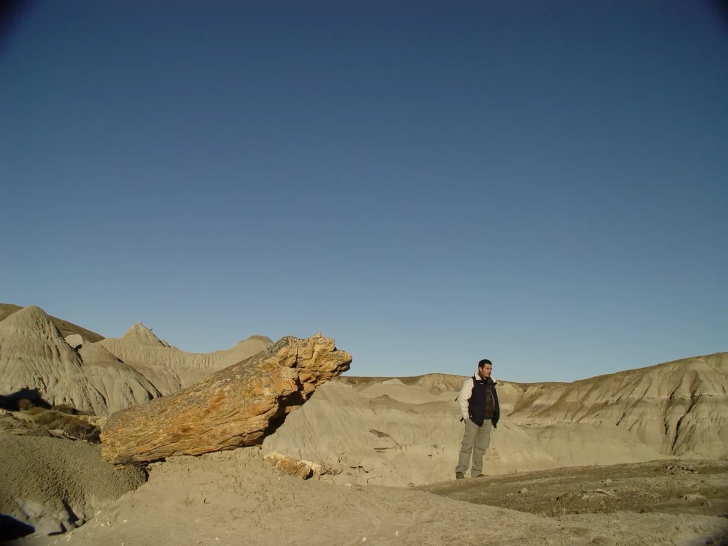 Excursión al Bosque Petrificado de La Leona