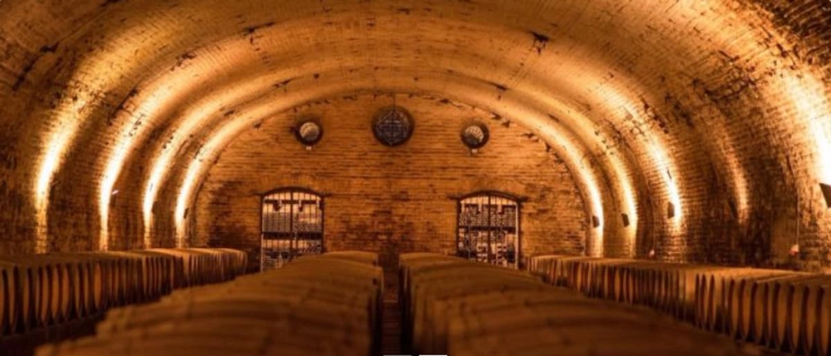 Tour to Viña Cousiño Macul in Santiago with Tasting