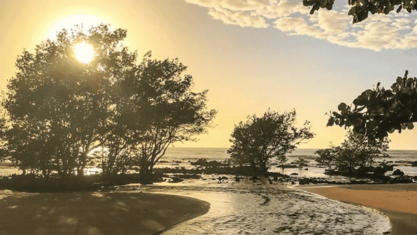 Tour a Playa de Manguinhos desde Vitória o Vila Velha