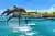 Tour al Aviario Nacional, Oceanario y Playa Blanca desde Cartagena