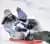 C4 Snow Park: SnowTubing and Sledding
