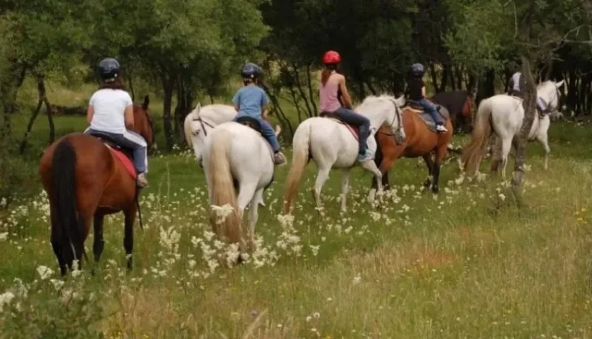 Cabalgata por la Selva en Iguazú de 1 hora