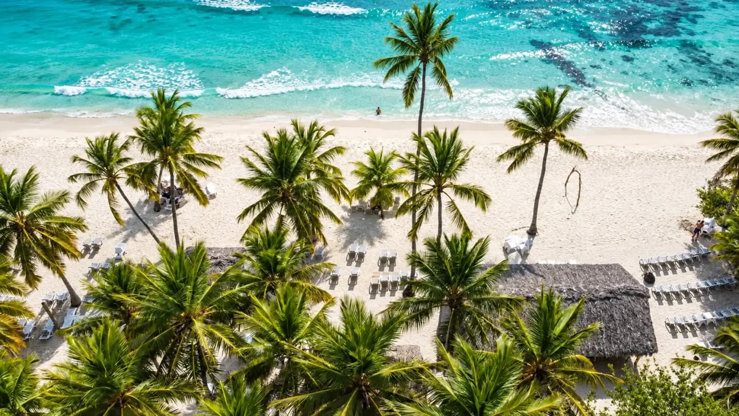 Isla Saona en catamarán con barra libre y comida desde Punta Cana