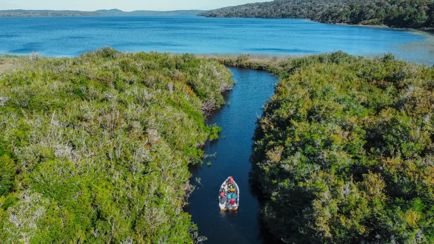 Navegación en el Parque Tepuhueico: Tesoros Acuáticos de Chiloé