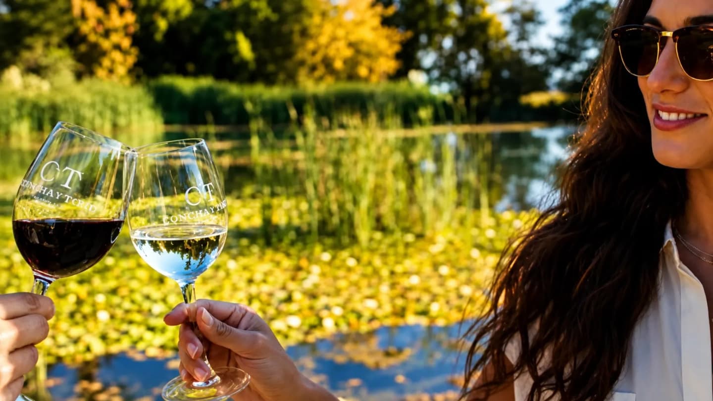 Tour Premium a Viña Concha y Toro con traslado desde Santiago
