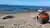 Aventura 4x4 en Punta Ninfas y Faro desde Puerto Madryn