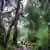 Trekking Parque Alerce Andino: Bosques y Alerces Milenarios