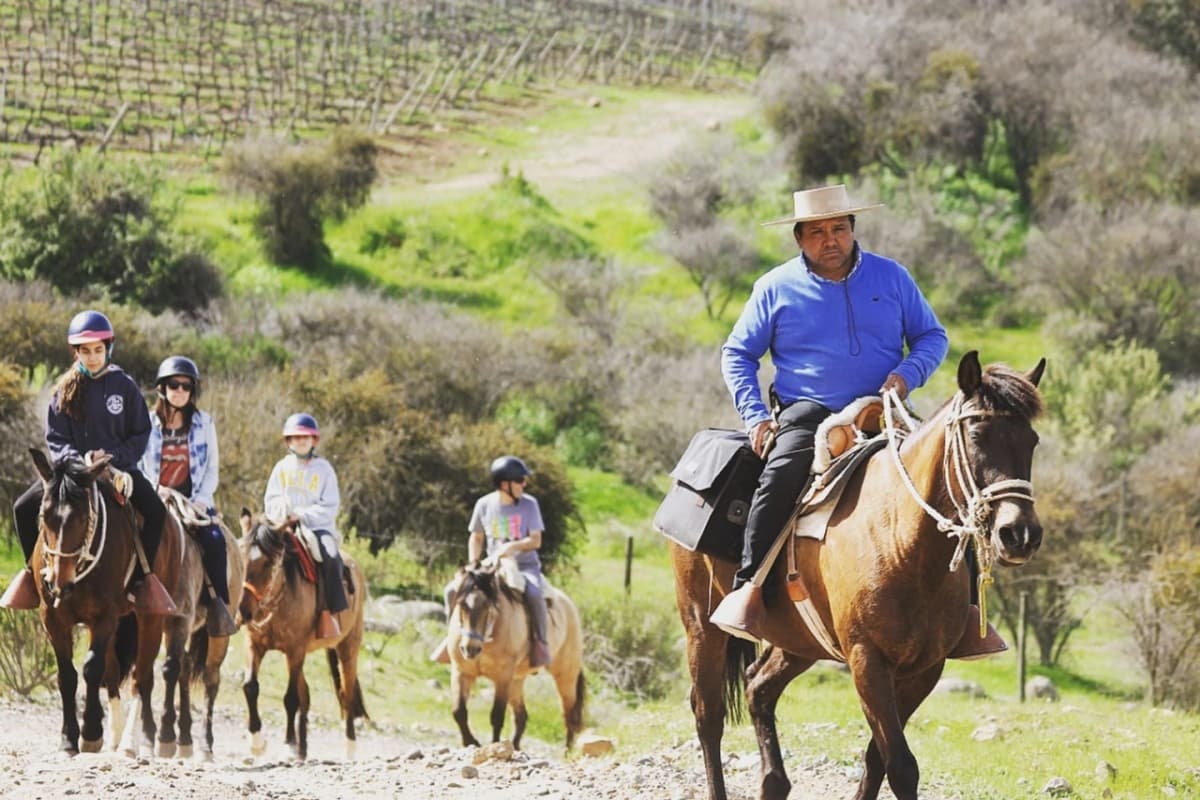 Cabalgata en Cerro Ninquén: Cata de Vinos en Colchagua