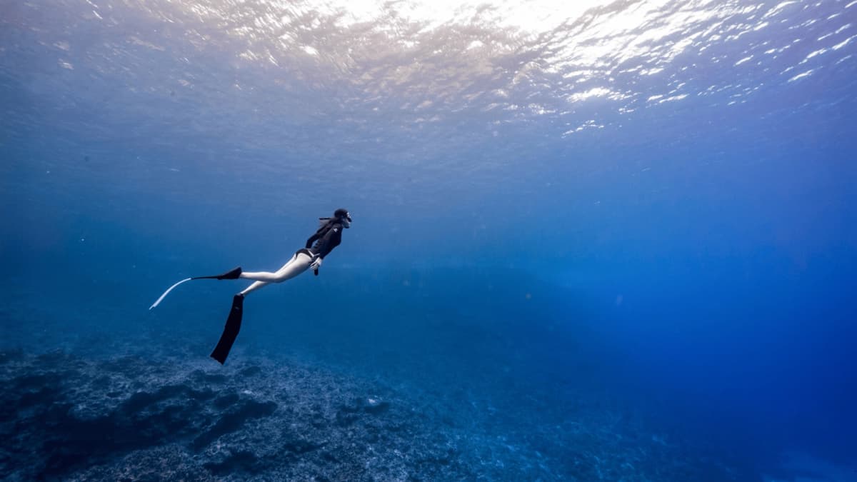 Tour de Mergulho em Recifes e Navios Afundados na Ilha de Barú