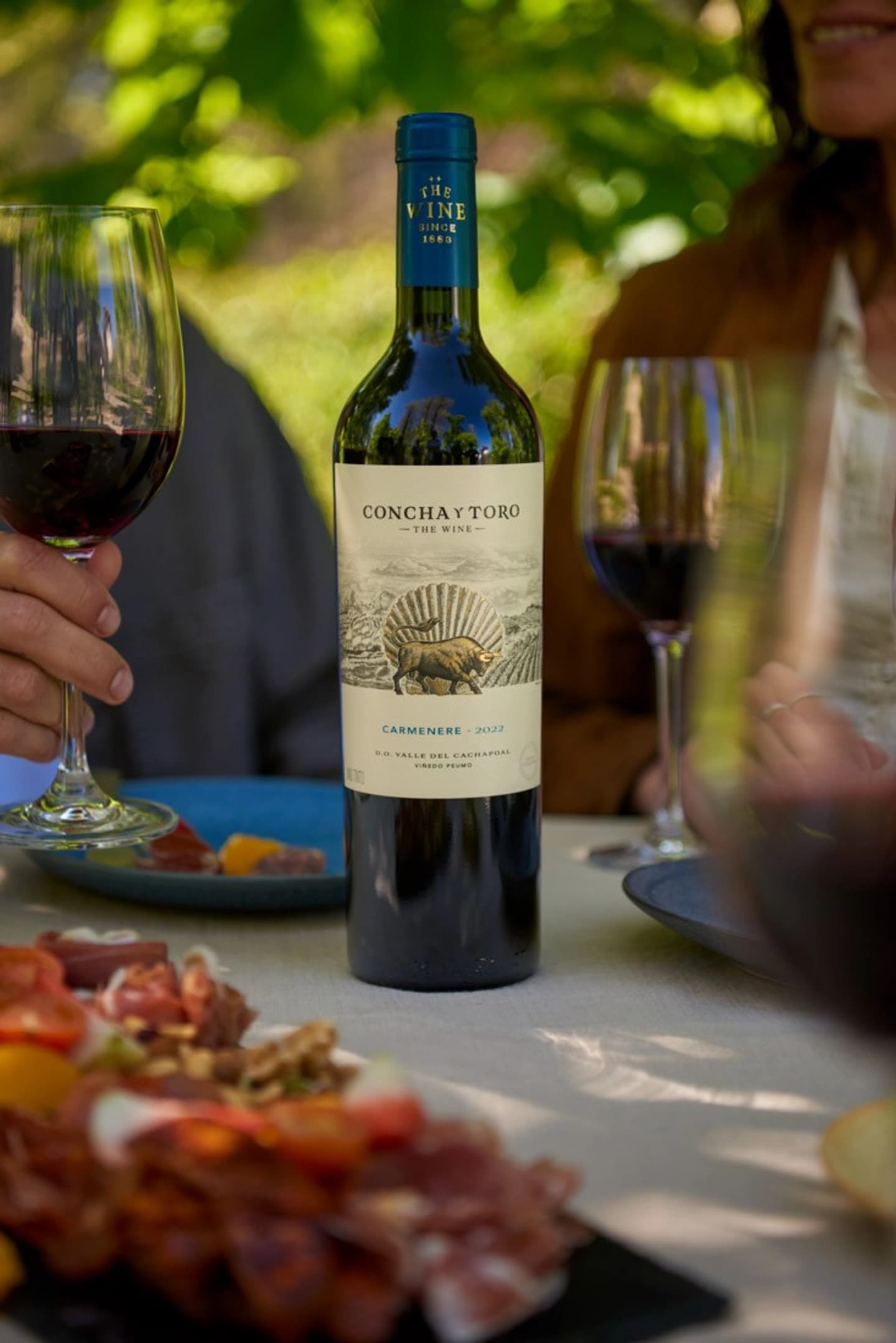 Visita Guiada Premium + Tasting The New Wines en Centro del Vino Concha y Toro