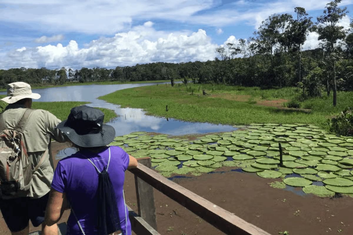 City Tour histórico por Manaus y Teatro Amazonas de Medio Día