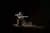 Cena y Show de Tango y Folclore en Aljibe Buenos Aires