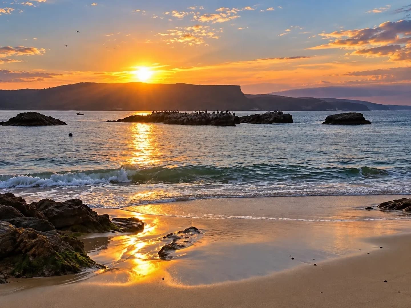 Tour privado a Playa Carhuaz desde Ica