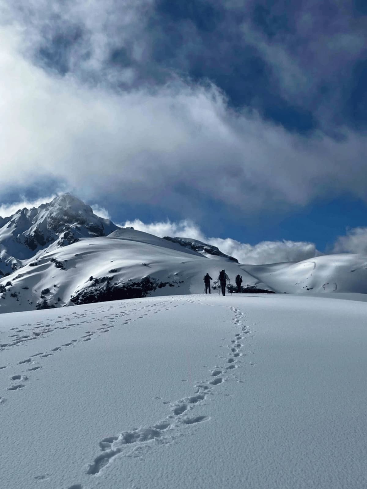 Trekking Cerro La Picada: Amanecer y Vistas Únicas del Volcán Osorno