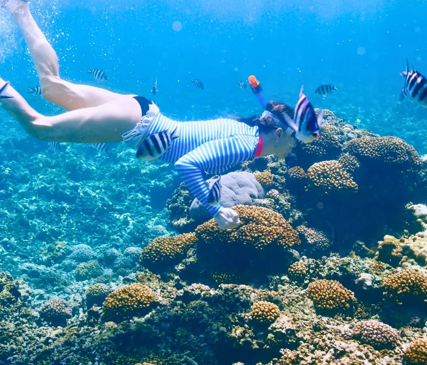 Islas del Rosario (Cartagena): Excursión Eco - 3 Clubs de Playa, Oceanario, Mini Zoo, Almuerzo, y Snorkel