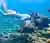 Islas del Rosario (Cartagena): Excursión Eco - 3 Clubs de Playa, Oceanario, Mini Zoo, Almuerzo, y Snorkel