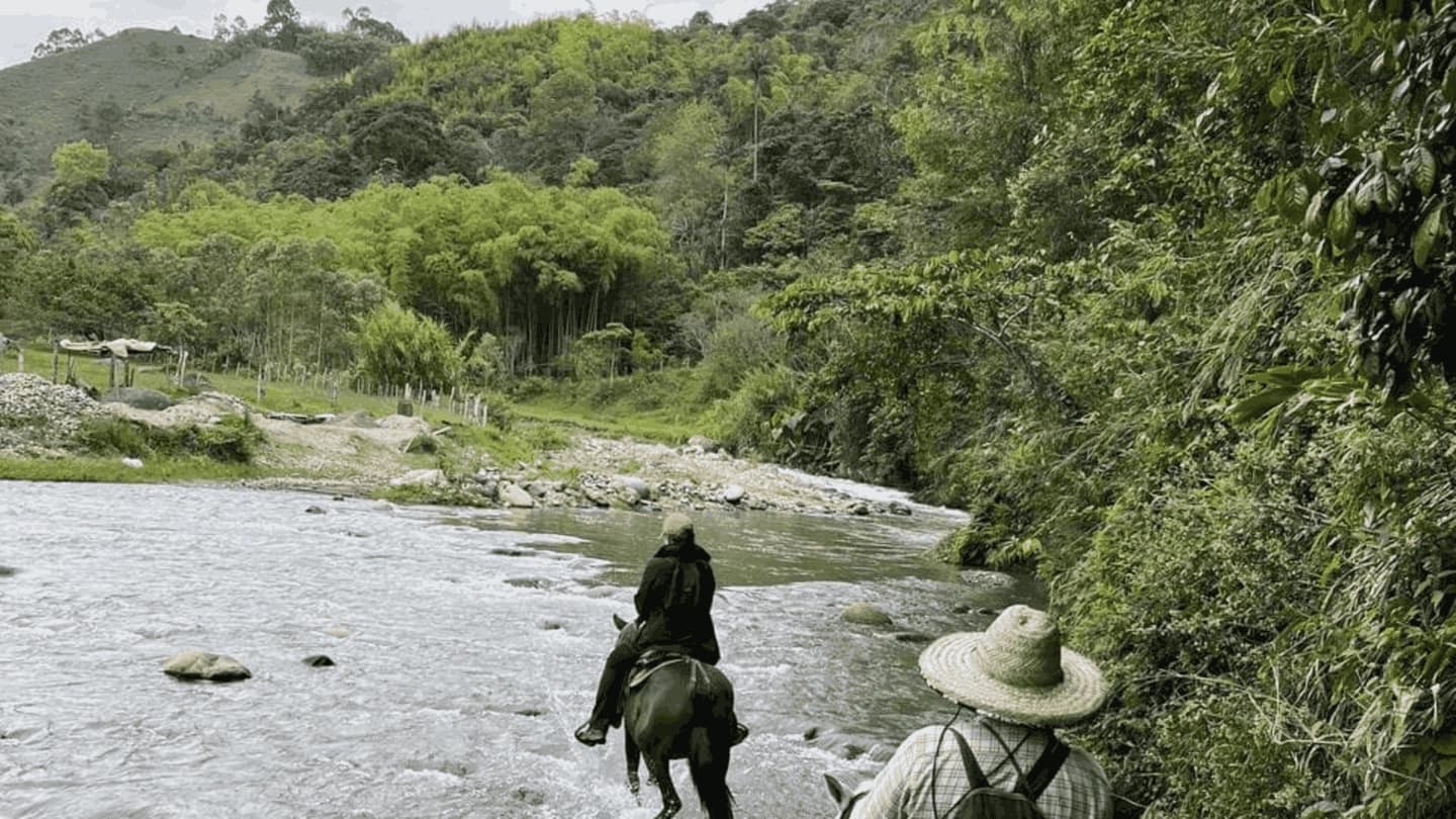Cabalgata y tour de café desde Salento
