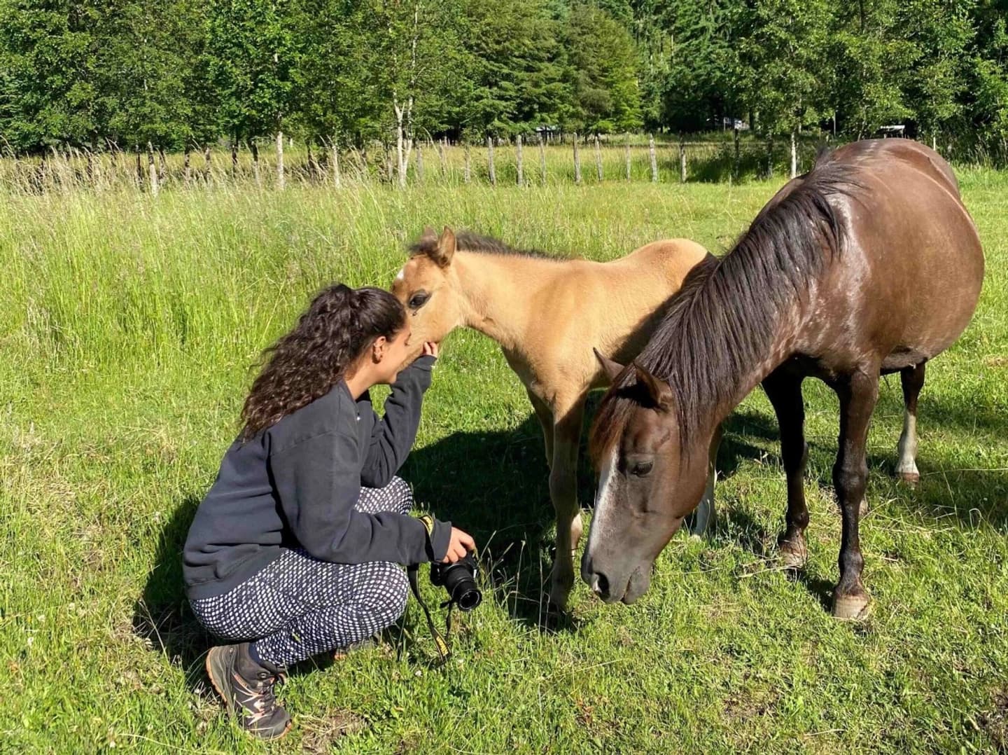 Cabalgata Sendero Kutraco: Bosque y Vistas al Volcán Villarrica