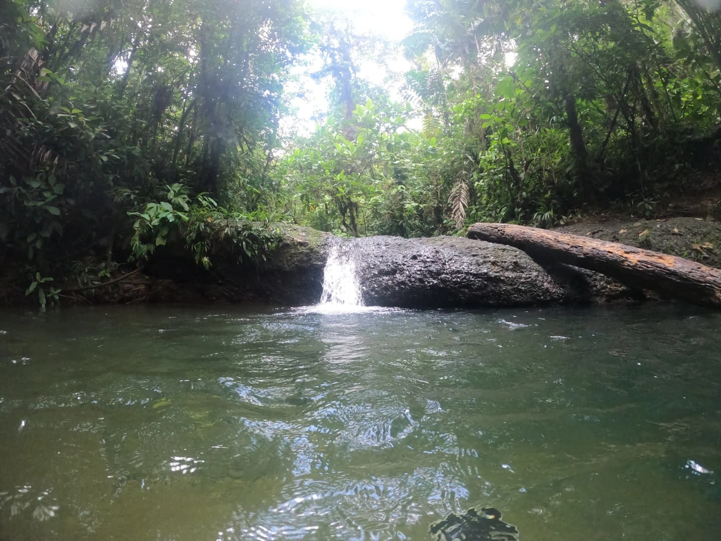 Tour a la Reserva Natural de San Cipriano desde Cali