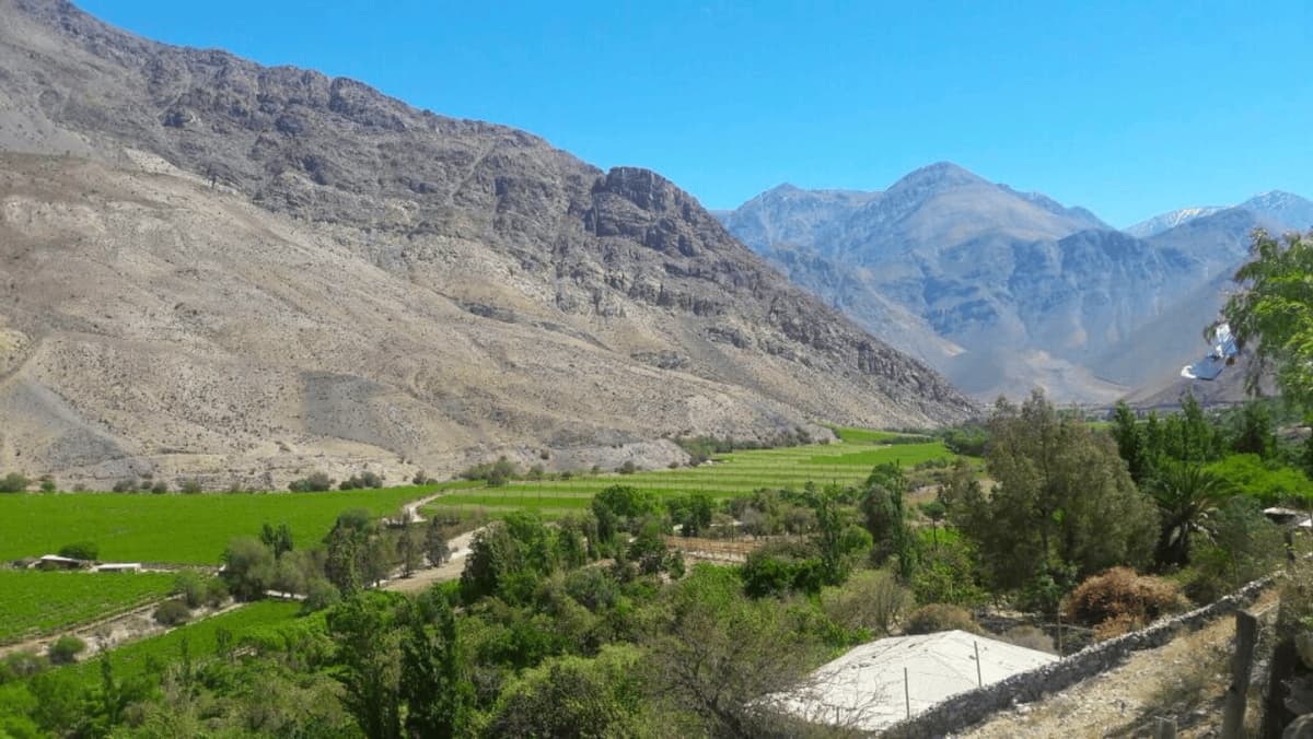Día Completo en el Valle del Elqui: Cultura, Pisco y Naturaleza