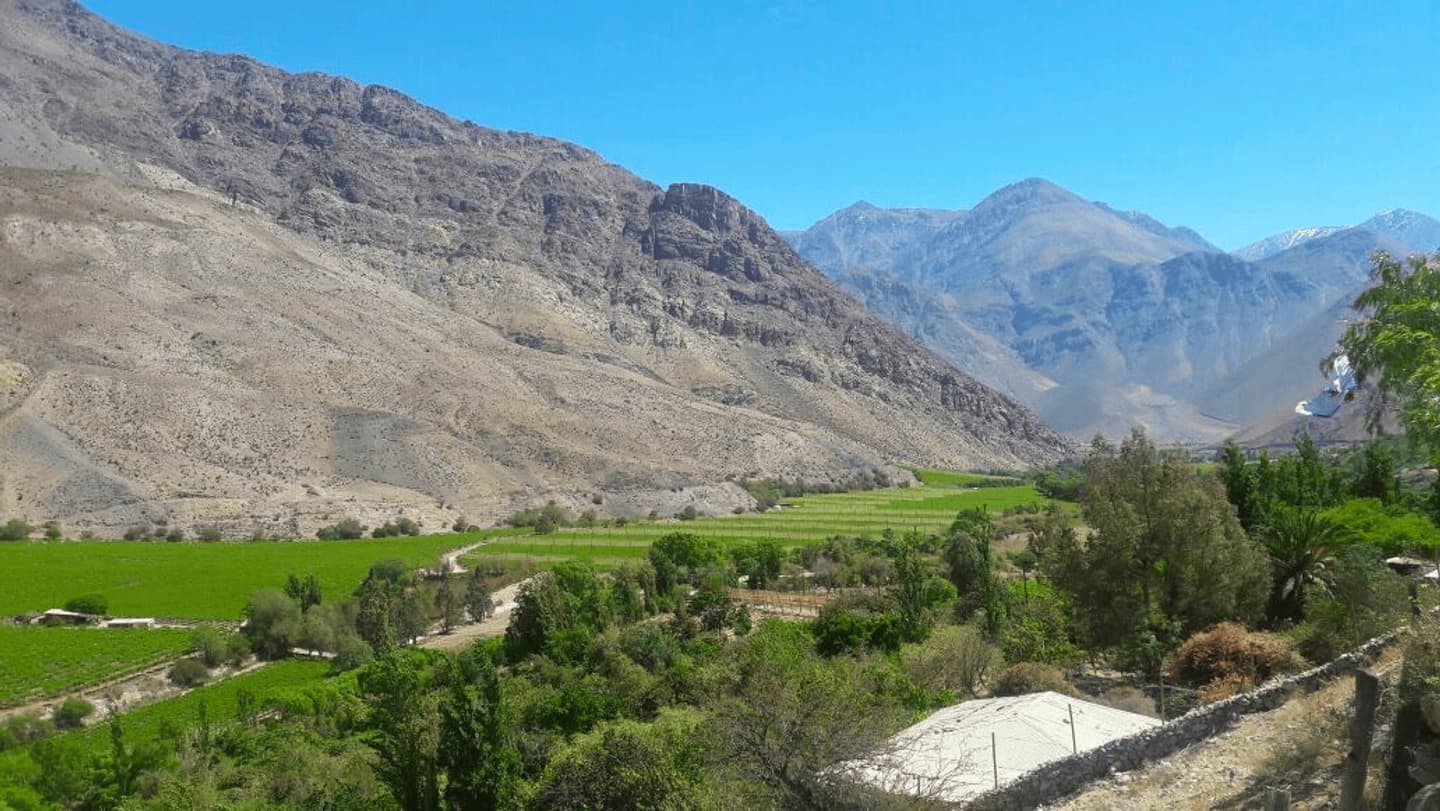 Valle del Elqui: Cultura, Pisco y Naturaleza desde La Serena