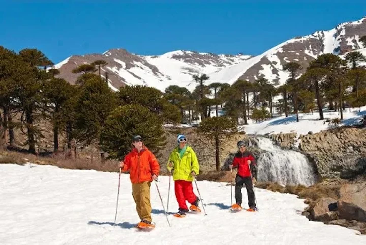 Snowshoe Walk to Lagoon or Waterfall