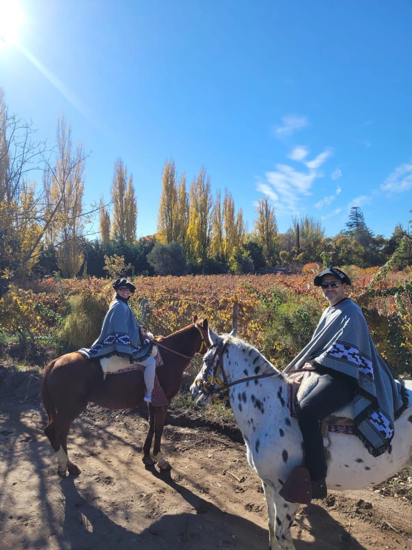 Cabalgata Privada entre Viñedos con asado y degustación