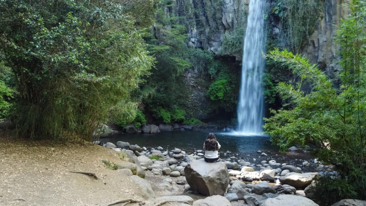 Discover Manzanar, Lonquimay, and Corralco on a Complete Journey