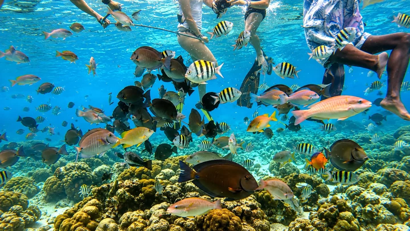 Tour 5 Islas y Playa Tranquila desde Cartagena
